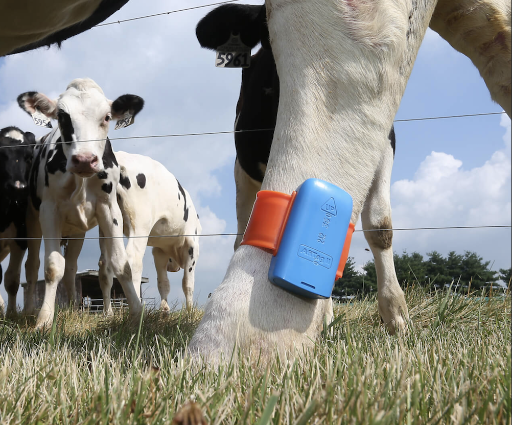 Conduit Venture Labs AI/ML for the Physical World